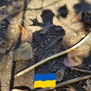 Meet your Posher, Joanne